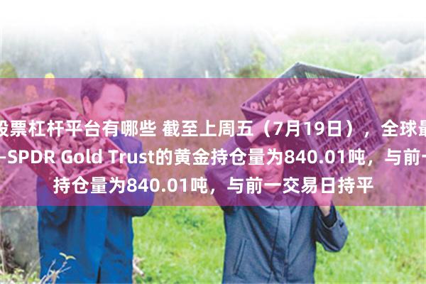 股票杠杆平台有哪些 截至上周五（7月19日），全球最大黄金ETF——SPDR Gold Trust的黄金持仓量为840.01吨，与前一交易日持平