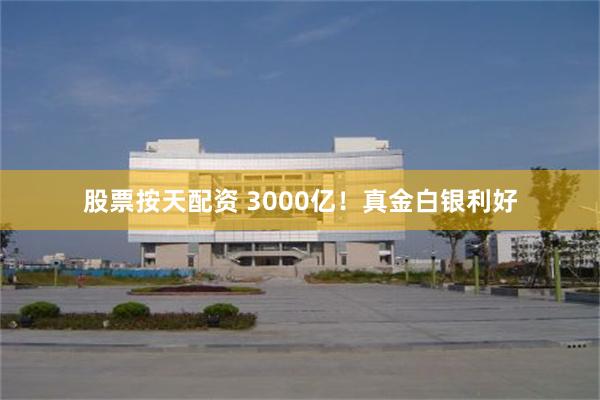 股票按天配资 3000亿！真金白银利好