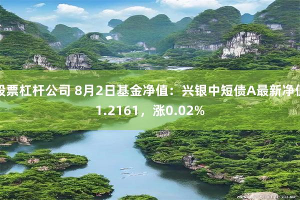 股票杠杆公司 8月2日基金净值：兴银中短债A最新净值1.2161，涨0.02%