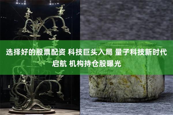 选择好的股票配资 科技巨头入局 量子科技新时代启航 机构持仓股曝光