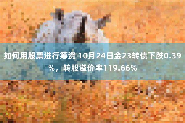 如何用股票进行筹资 10月24日金23转债下跌0.39%，转股溢价率119.66%