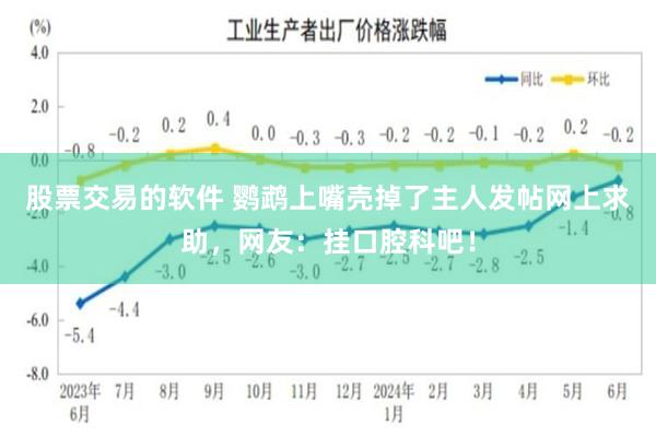 股票交易的软件 鹦鹉上嘴壳掉了主人发帖网上求助，网友：挂口腔科吧！