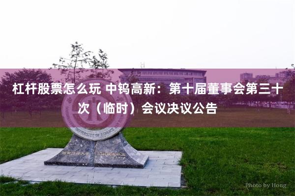 杠杆股票怎么玩 中钨高新：第十届董事会第三十次（临时）会议决议公告