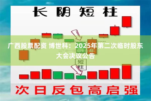 广西股票配资 博世科：2025年第二次临时股东大会决议公告